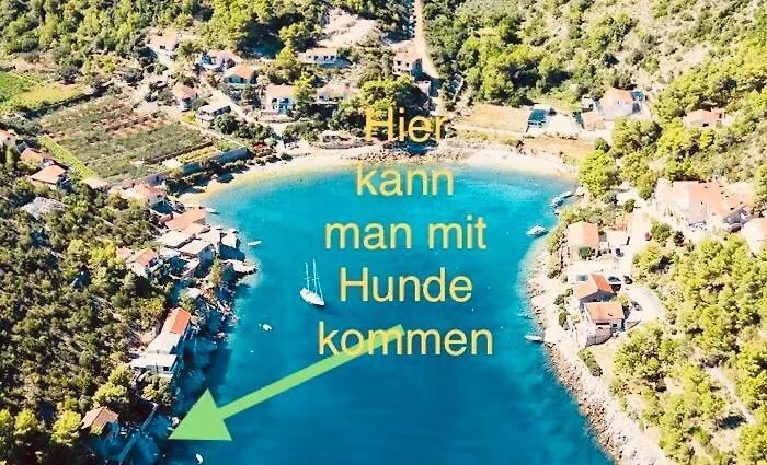 Hvar Jelsa (Hvar)